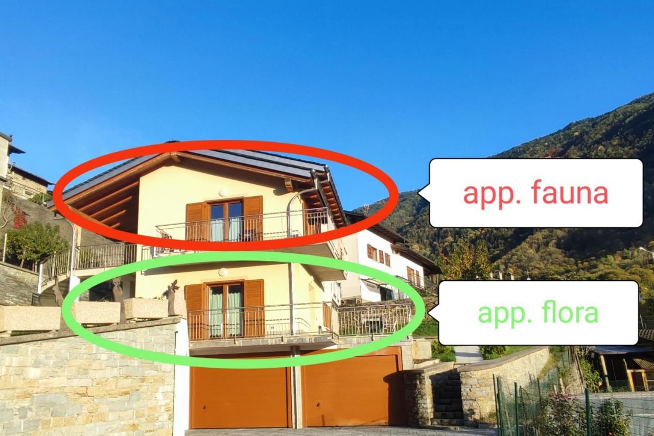 Apartmán Pisolo Selvaggio Tirano Exteriér fotografie