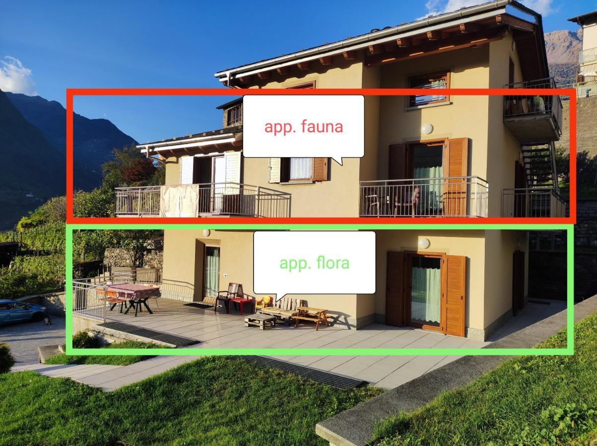 Apartmán Pisolo Selvaggio Tirano Exteriér fotografie